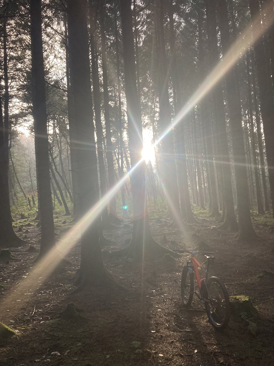 Glorious morning in the woods….bit sloppy in places tho! 😃…. Hardtail xc fun 🤘 #Absoulatemtb1 #lovewhereyoulive #walesneverfails #TotalMTB ✌️