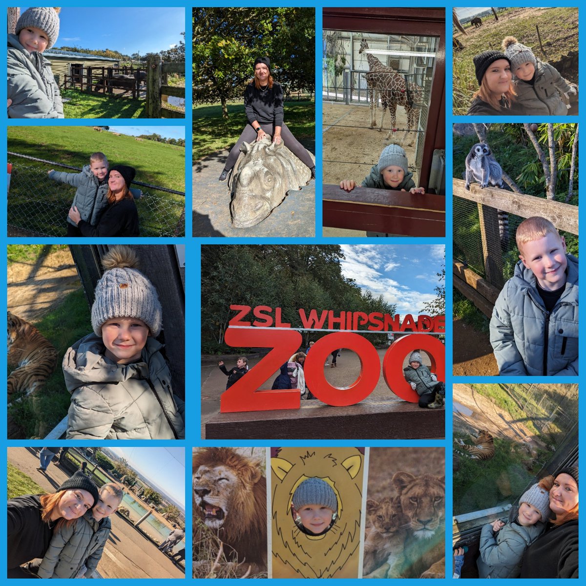 Zoe Goldsmith tweet media