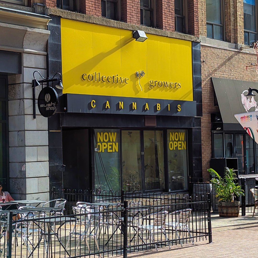 @MSIKUofficial tweet media