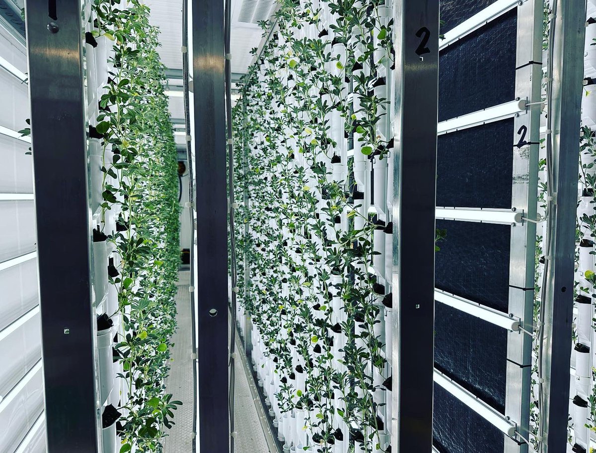 Original Six Foundation tweet media