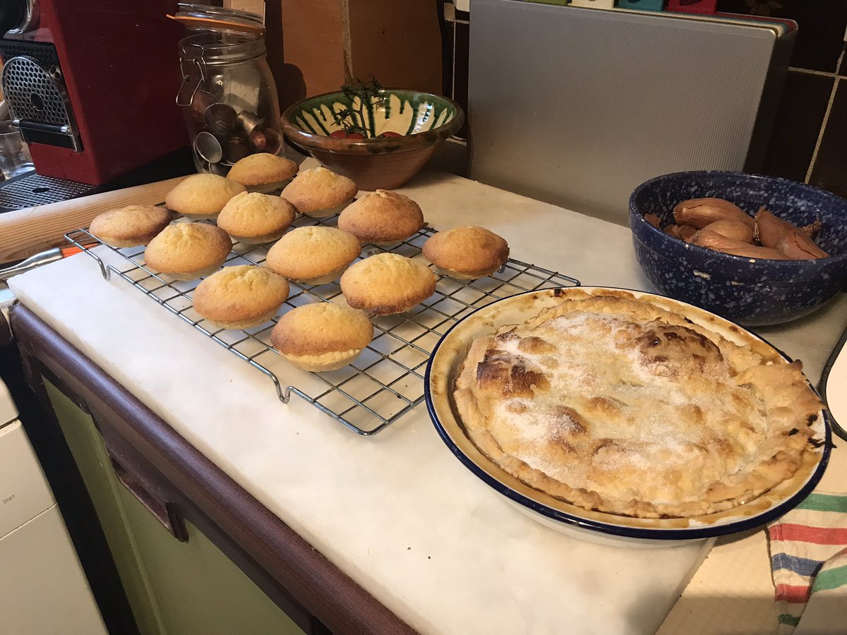 SueCrowe111's tweet image. Having a bit of a ‘wobble’ day today 😢when I wish I could talk/cuddle with my mum 🥰 (yes I know I’m over 60) so I did some of her baking. Crusty apple pie 🥧 and maids of honour (pastry bottom my home made plum jam and cake mix on top) Miss you always 😢 #mymum