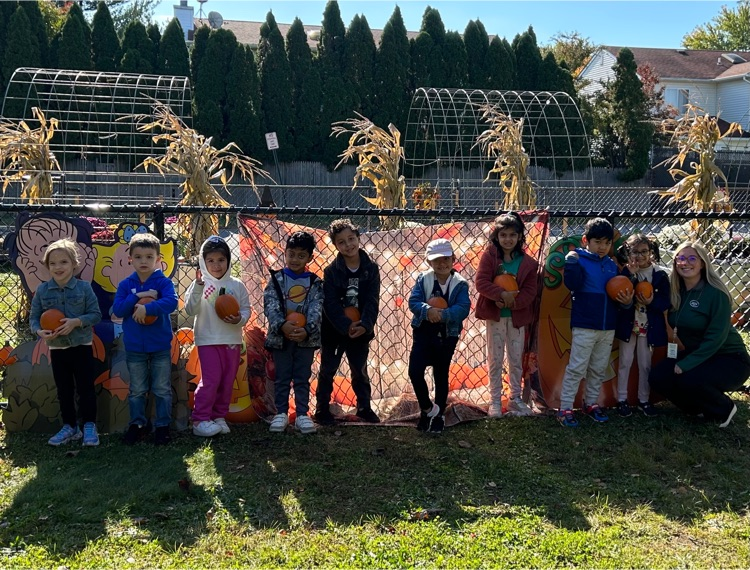 MeadowbrookSchoolEM (@meadowbrookem) on Twitter photo Thank you to the Meadowbrook PTA for providing our students with a pumpkin patch in the Meadowbrook Garden! <a href="/emeadowschools/">East Meadow Schools</a> <a href="/meadowbrook_pta/">Meadowbrook PTA</a> <a href="/MBKGardenclub/">Meadowbrook Gardening Club</a> Thank you to the Meadowbrook PTA for providing our students with a pumpkin patch in the Meadowbrook Garden! <a href="/emeadowschools/">East Meadow Schools</a> <a href="/meadowbrook_pta/">Meadowbrook PTA</a> <a href="/MBKGardenclub/">Meadowbrook Gardening Club</a>