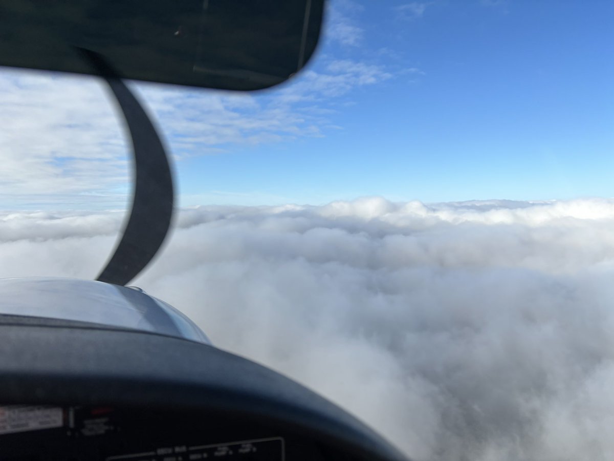 Bat Pilot tweet media