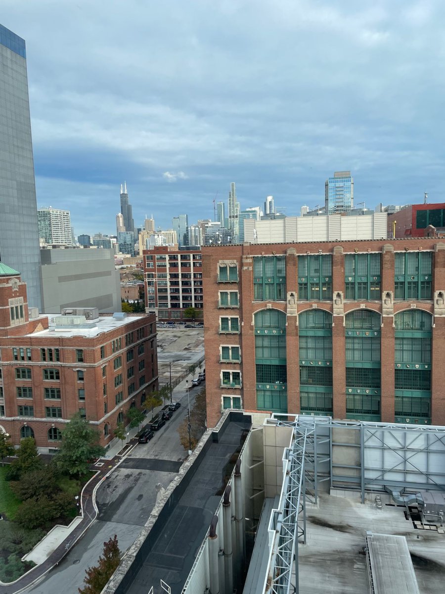 Clear Contender tweet media