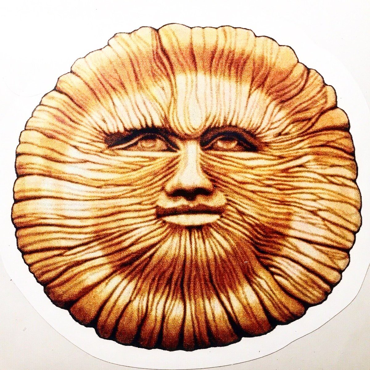 TheKeepright's tweet image. #adjacency