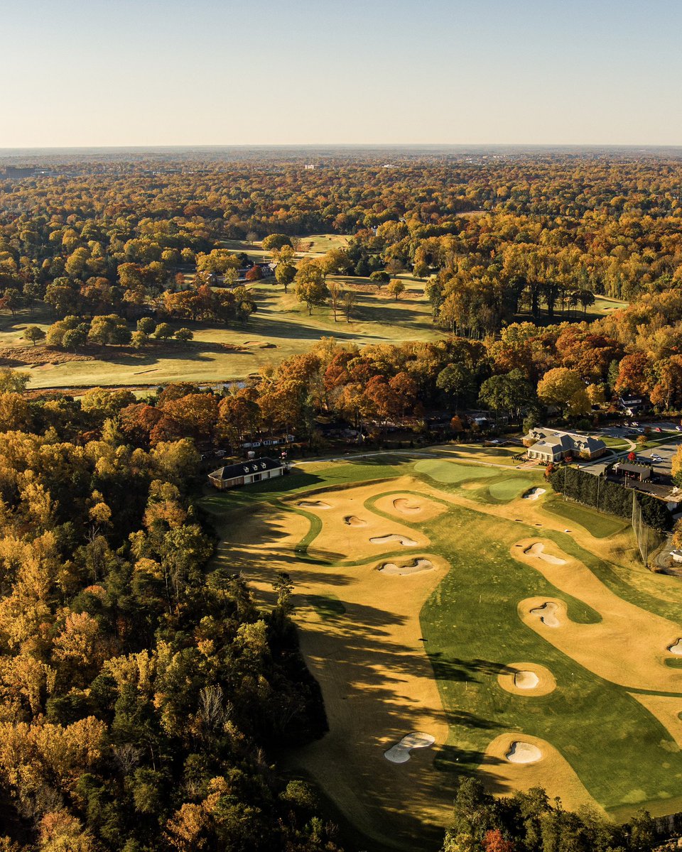 Wake Forest Men's Golf tweet media