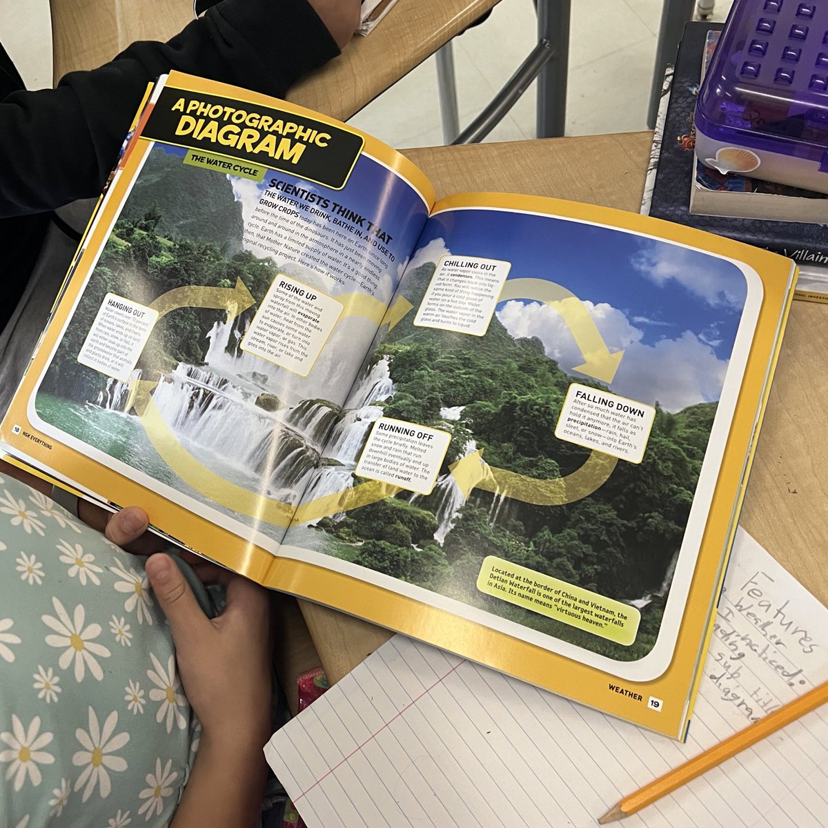 Mr. Rodriguez tweet media