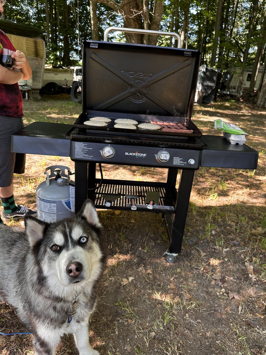 AudaciousFenix tweet media