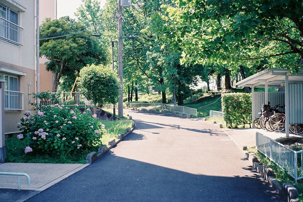 RoomNumber143's tweet image. 