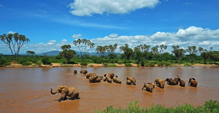 MySafaris's tweet photo. Maasai Mara National Reserve (also known as Maasai Mara, Maasai Mara and by the local people as The Mara) is a large game reserve in Narok County, Kenya, contiguous with the Serengeti National Park in Mara Region, Tanzania. 

https://t.co/EcaYu4BJrh https://t.co/PNNWPB9I6A