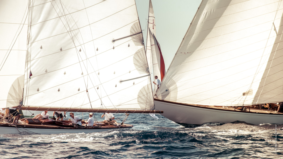 MAO Laurence-Photos tweet media