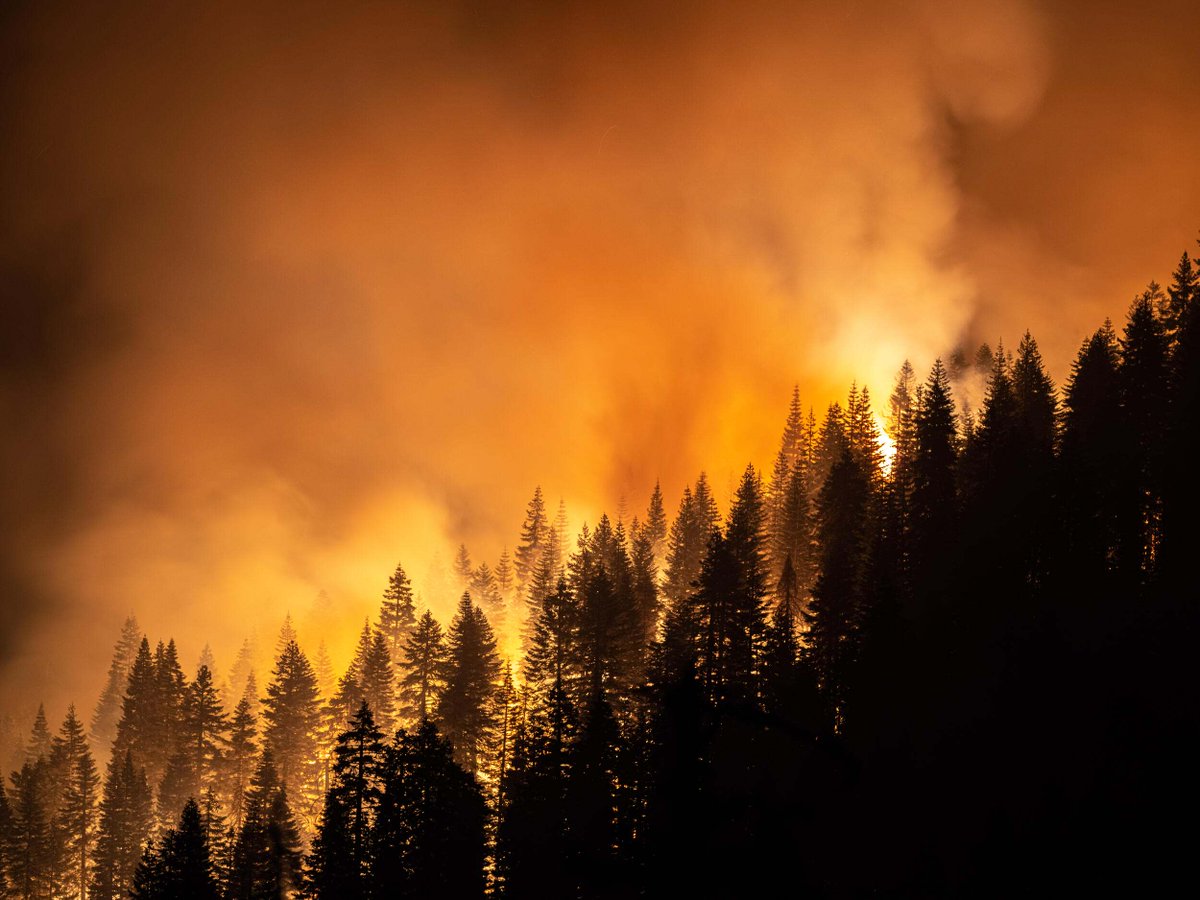 New research from our #Wildfires and Human Health working group - US counties with the highest rate of smoke particulates are home to higher numbers of vulnerable people. Since 2017, vulnerability to wildfires has increased dramatically in the PNW. More: bit.ly/40aCnZi