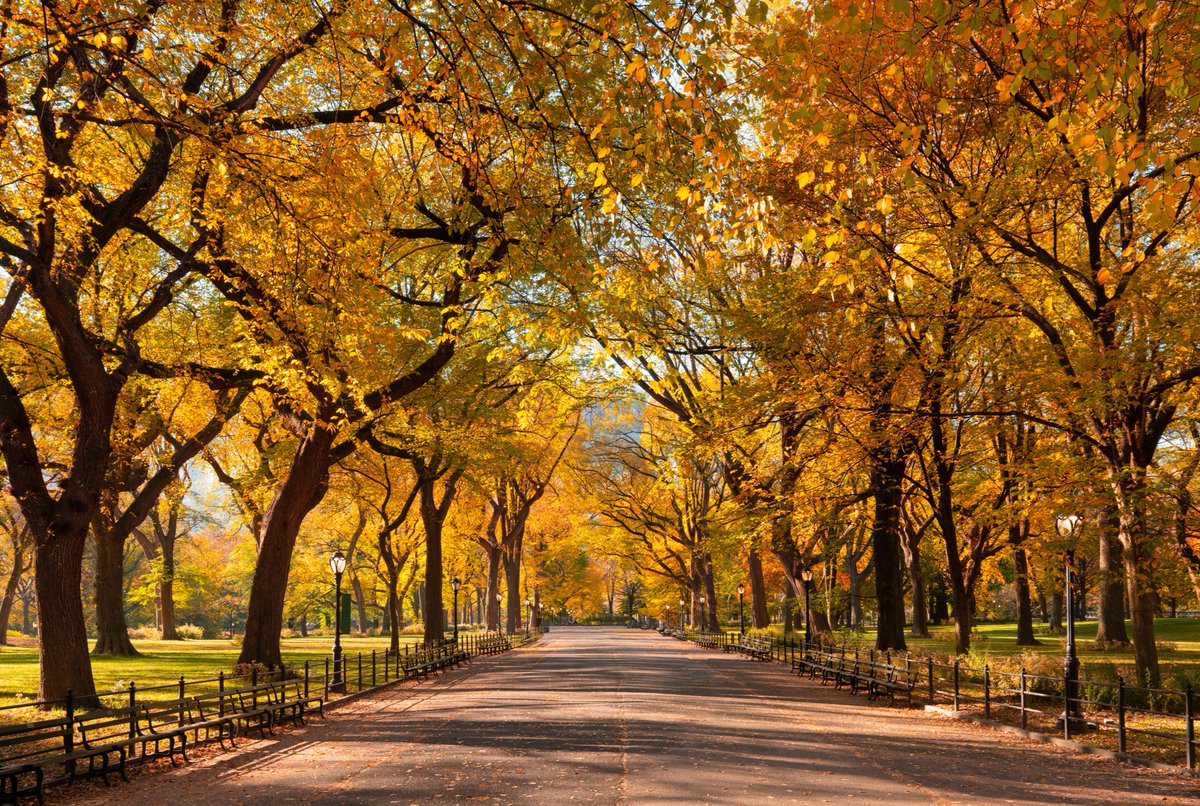 Arbor Day Foundation tweet media