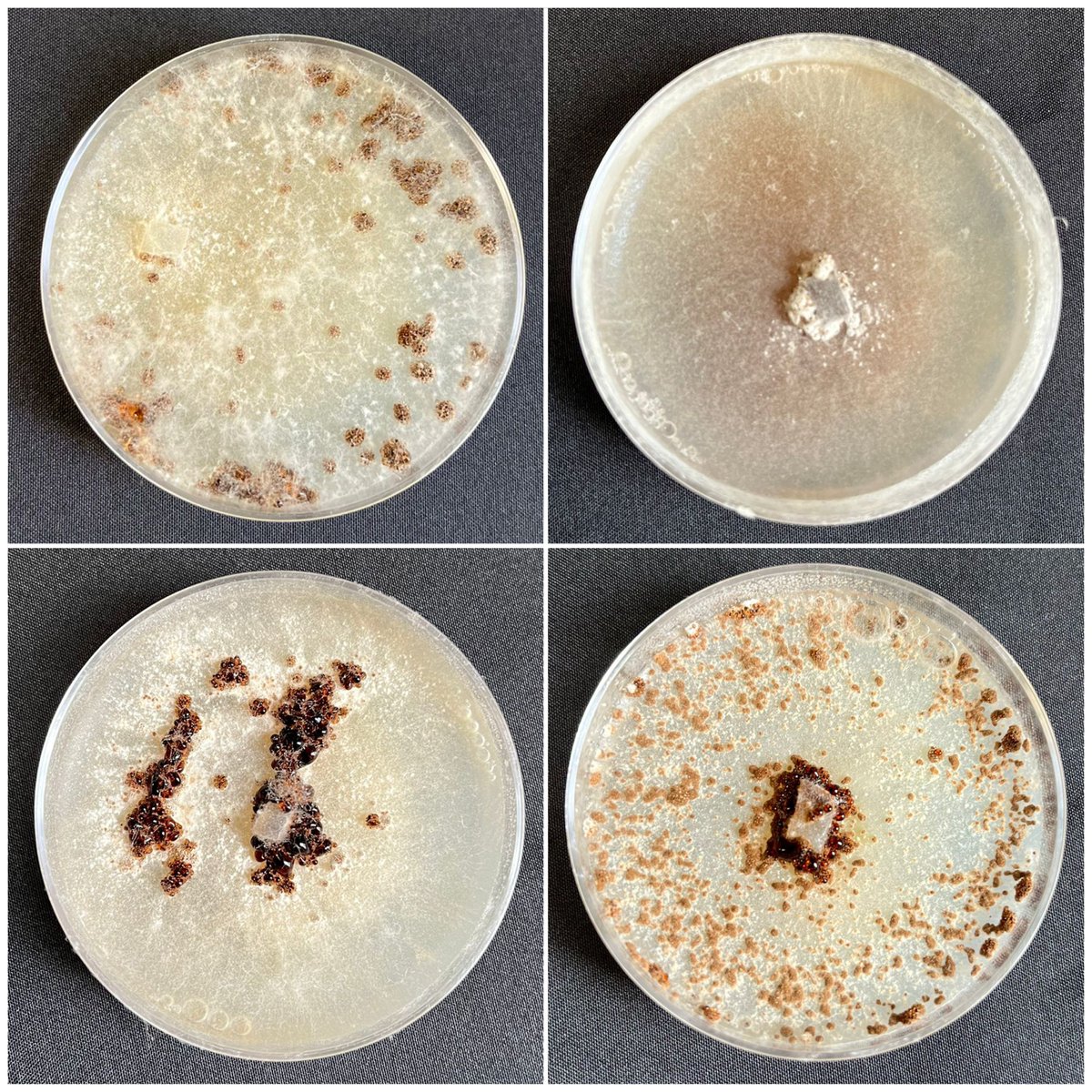 Take a look at this diagnostic guide! Free for a limited time