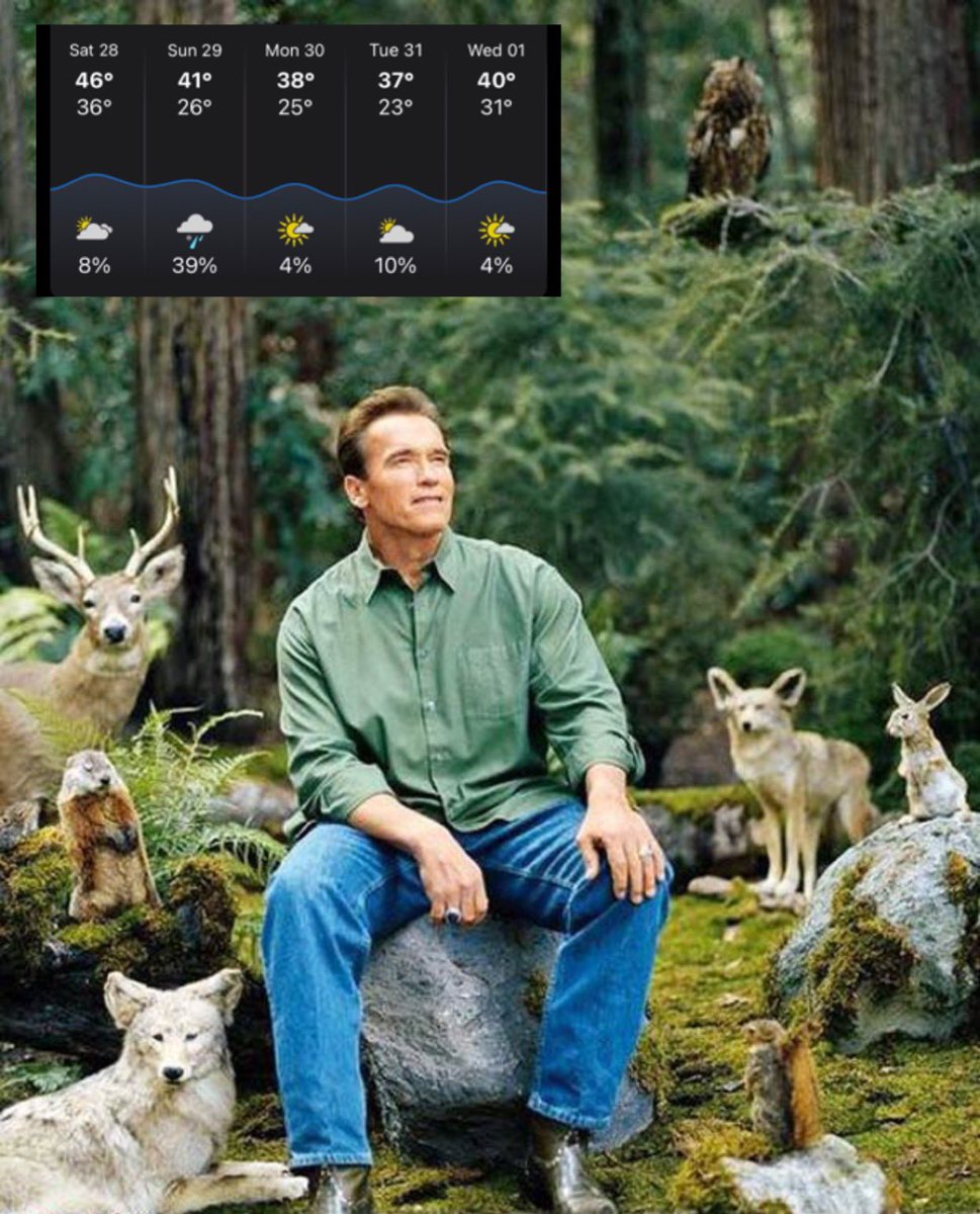 Midwesterners enjoying the last nice days of the year before The Great Freezing