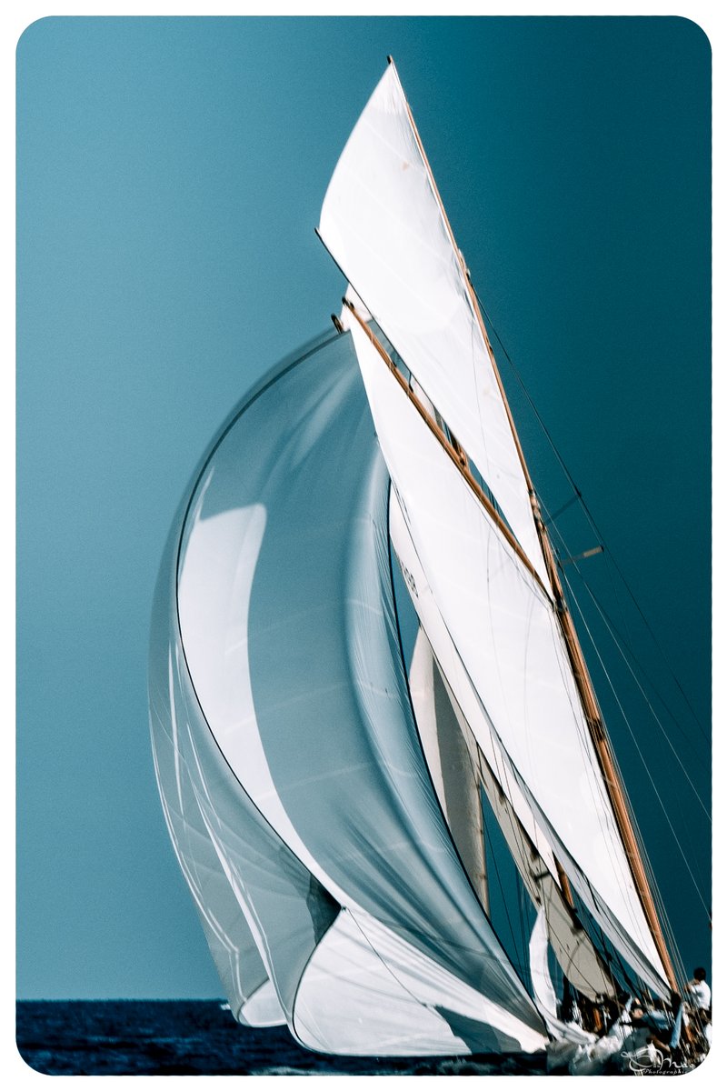 MAO Laurence-Photos tweet media