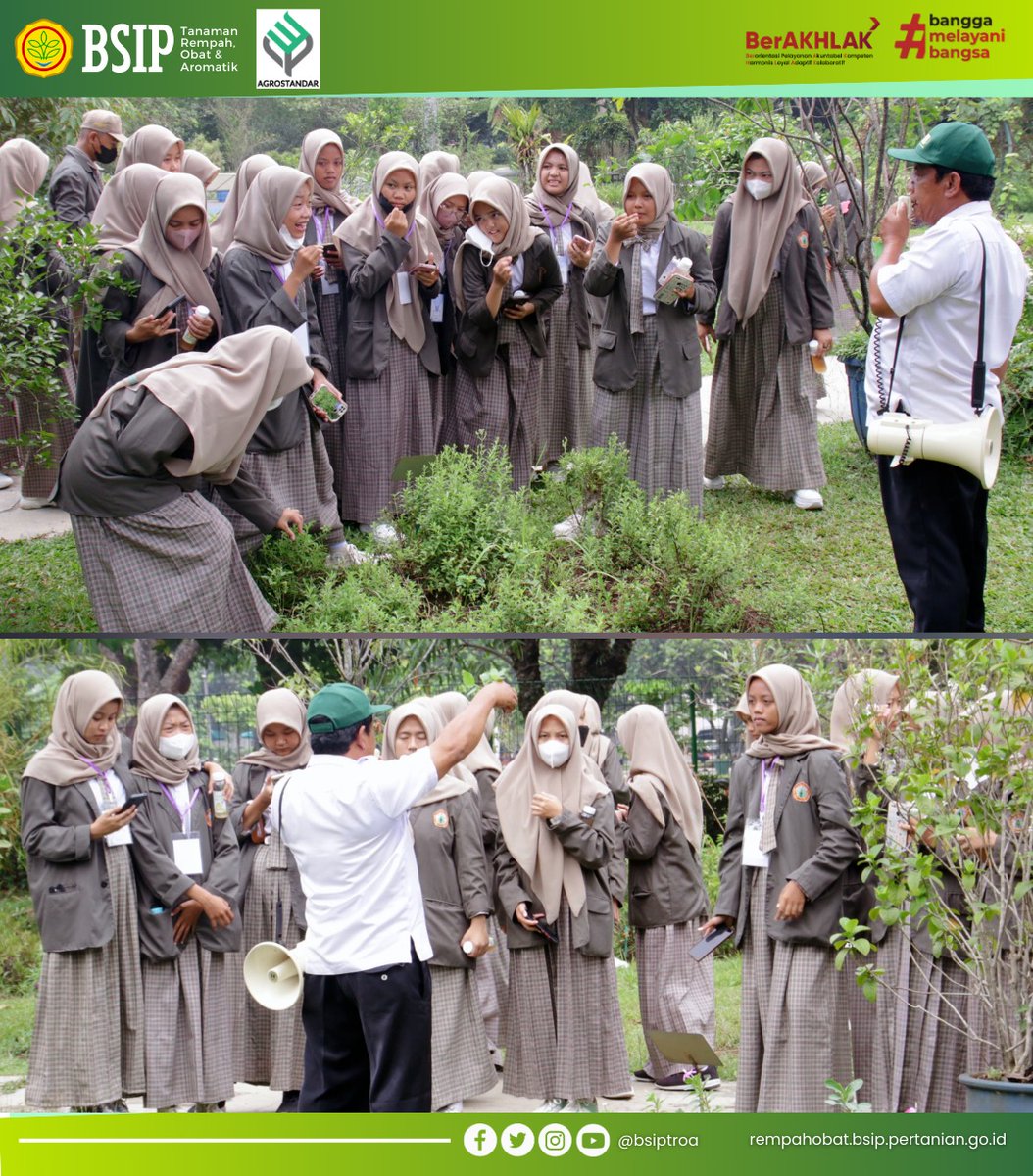 brmprempahobat's tweet photo. Rabu (25/10) Balai Pengujian Standar Instrumen Pertanian Tanaman Rempah, Obat dan Aromatik menerima kunjungan dari SMK Kesehatan Prof. Dr. Moestopo, Kab. Bogor. Dalam kunjungan ini diikuti 70 peserta yang tediri dari murid dan guru pendamping.
(Azwar/BSIP-TROA)
#bsip
#bsiptroa https://t.co/kyDtHMdhMO