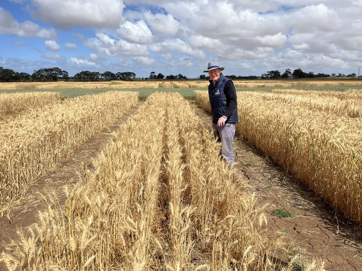 Tony Swan tweet media