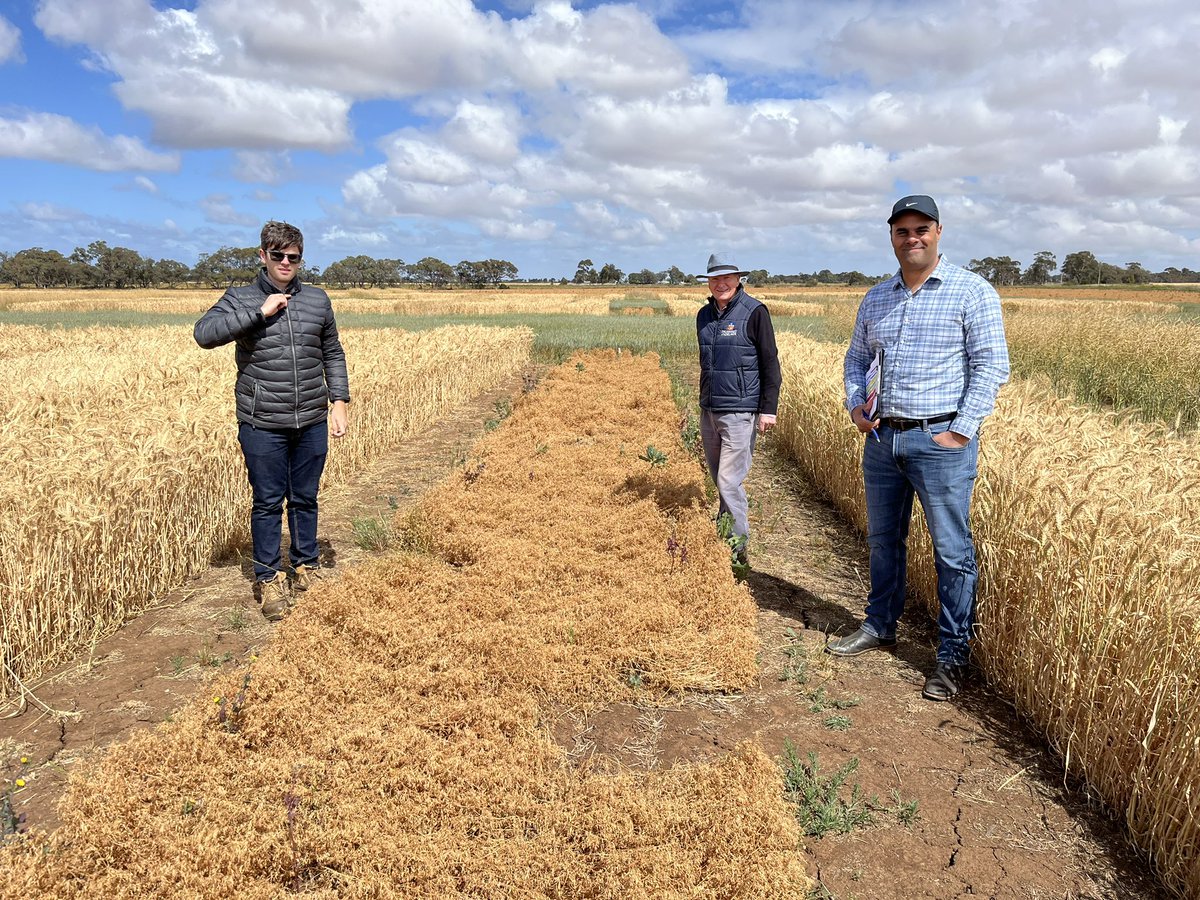 Tony Swan tweet media