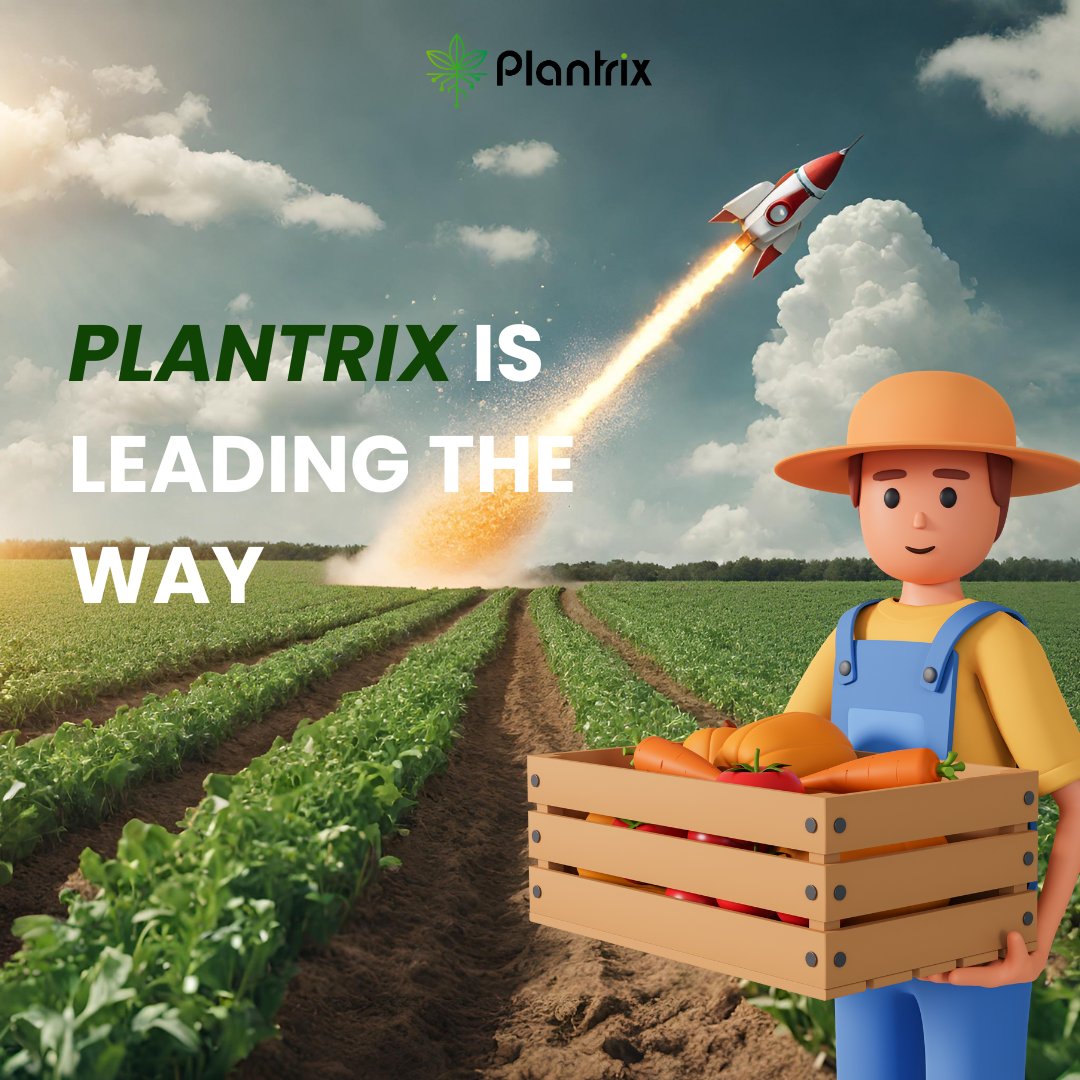 Plantrix_io's tweet photo. The agri-blockchain era is dawning, and Plantrix is leading the way! Brace yourself for a wave of innovation that's set to redefine the future of agriculture. Join us as we embark on this thrilling adventure! https://t.co/0mcUOKAmeG
#FarmingInnovation #SustainableAgriculture #PlantrixGrowth #PlantrixFuture #EarnForLife