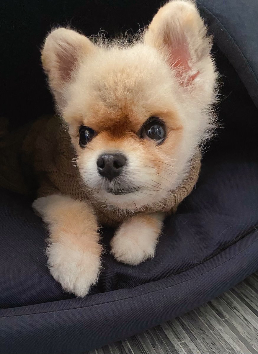 Решил повысить свою продуктивность 

С завтрашнего дня буду нассывать под пеленку два раза в день, двойная угроза человечеству