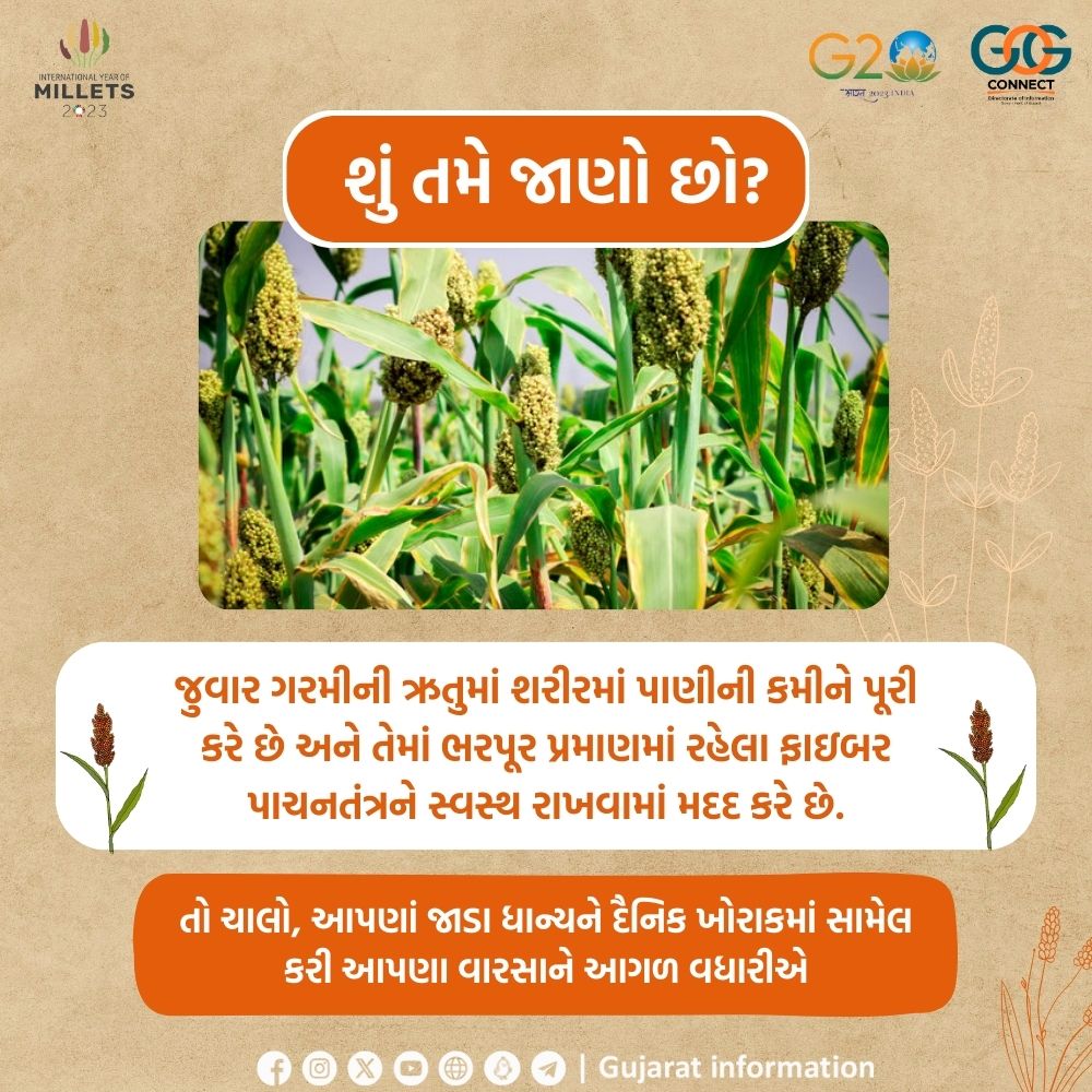 Collector Patan (@collectorpatan) on Twitter photo 