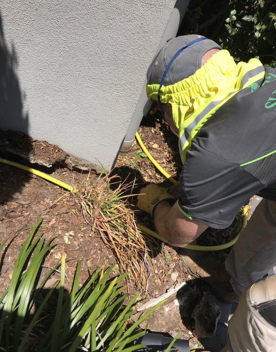 sunnystatepc's tweet image. Brisbane’s top pest control and management company. We’ve got you covered! 🏡🐜 #pestcontrolprofessionals #pestcontrolservice #pestcontroller #pestcontrolcompany #termites #termitecontrol #termiteinspection #termitetreatment #termitedamage #termitebarriers @BASF @GlobePest