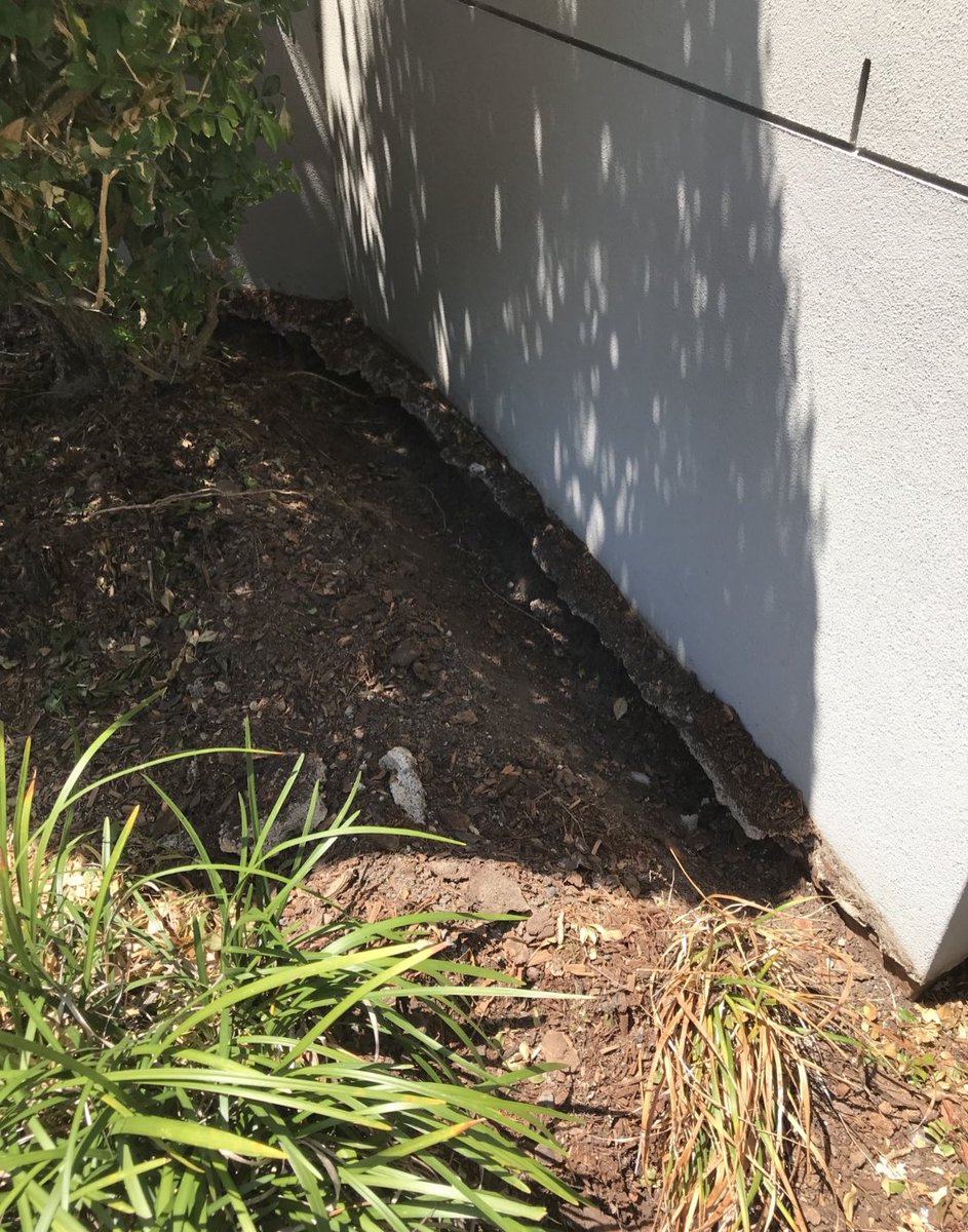 sunnystatepc's tweet image. Brisbane’s top pest control and management company. We’ve got you covered! 🏡🐜 #pestcontrolprofessionals #pestcontrolservice #pestcontroller #pestcontrolcompany #termites #termitecontrol #termiteinspection #termitetreatment #termitedamage #termitebarriers @BASF @GlobePest