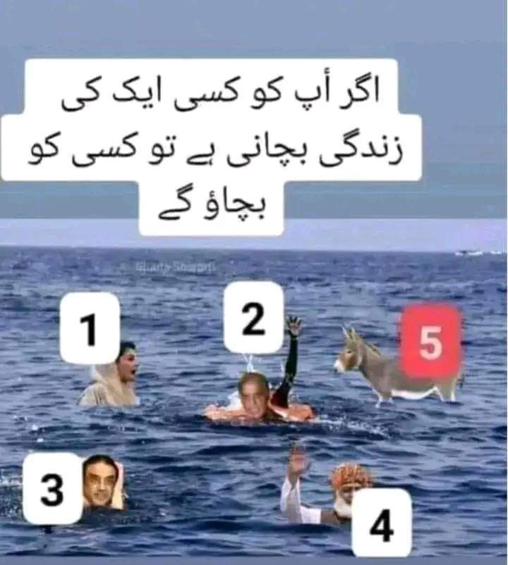 Sher nawab khan tweet media