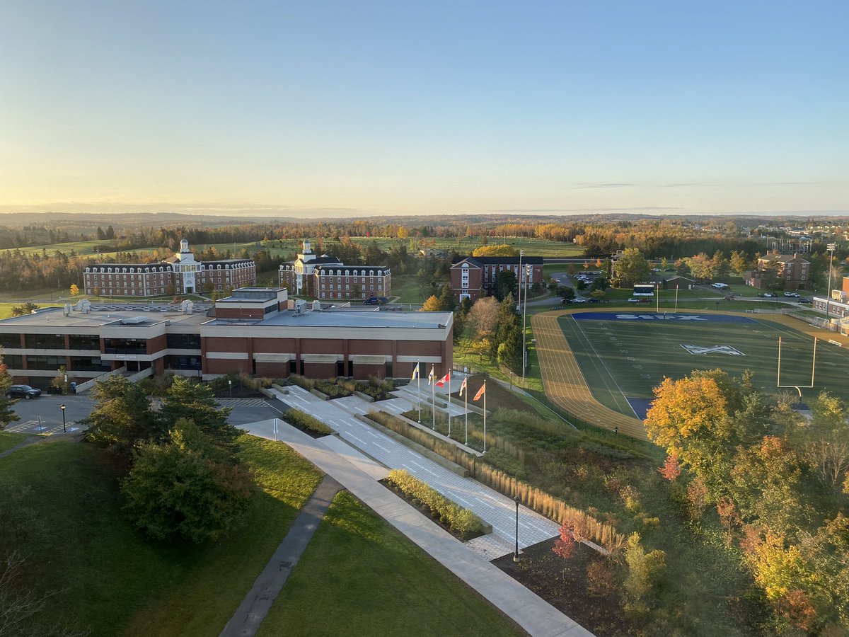 Amanda Cockshutt tweet media