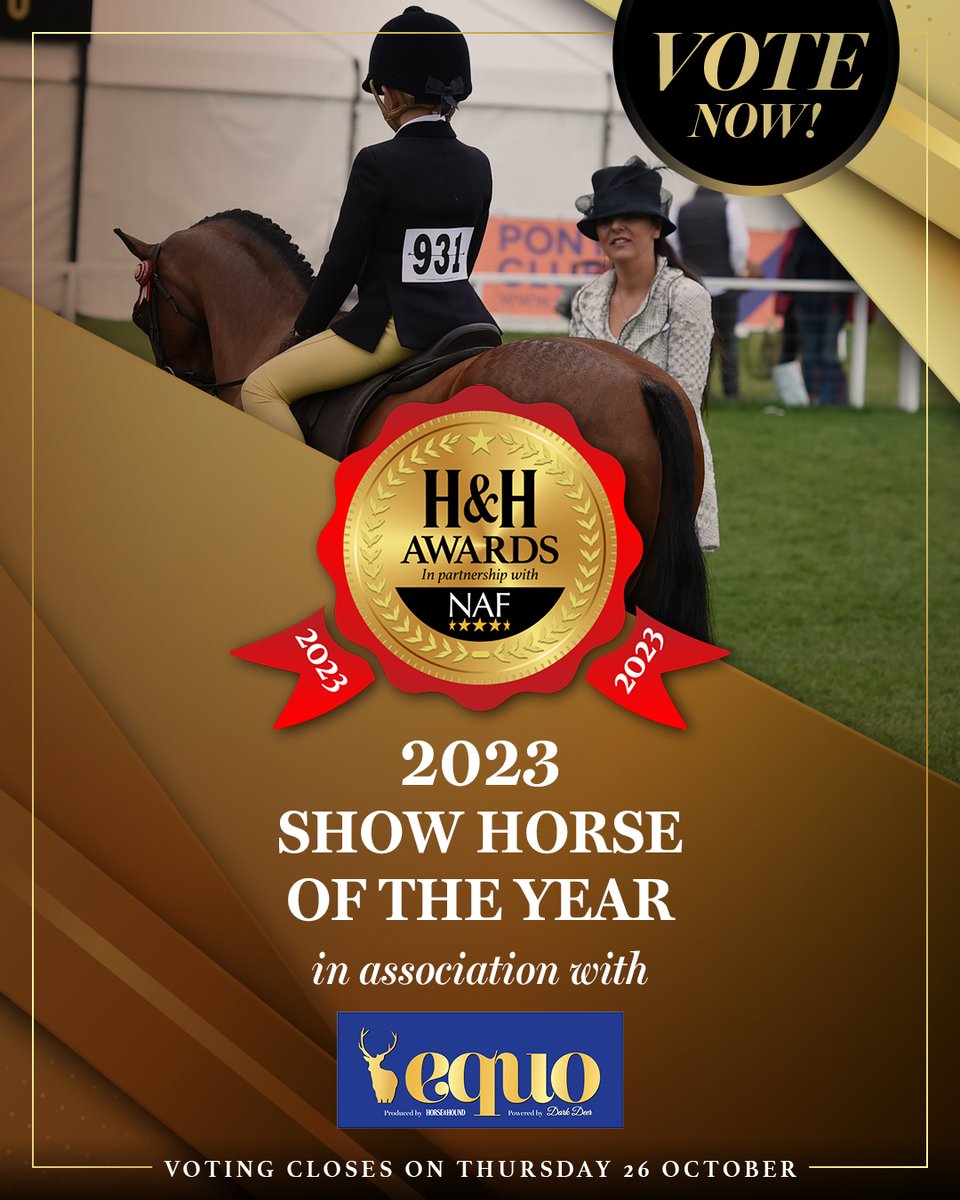 horseandhound's tweet photo. Help us crown the EQUO Show Horse of the Year at this year's Horse &amp; Hound Awards. Don't miss your chance to have your say before voting closes tomorrow! Visit https://t.co/dpknDYUPRY #HHAwards23 https://t.co/Ez2CaLKH64