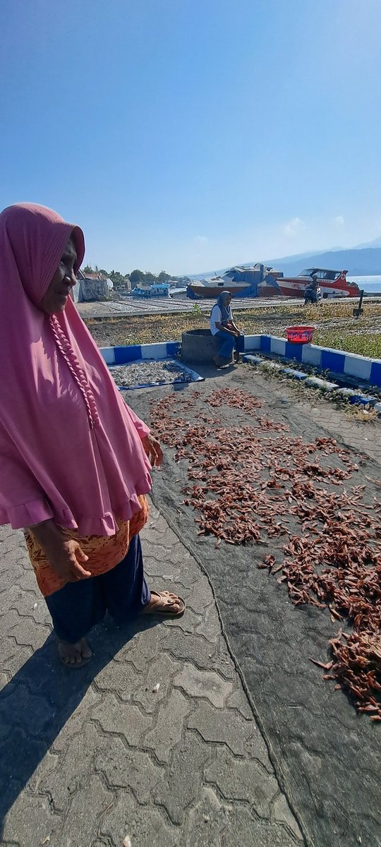 YohMariaVianei's tweet photo. Jumad (13/10), Yoh Maria  Vianei Keni Bolen, Luhkan Flores Timur, di Pemasar Ikan An. Ani Taslim, Ds Lamahala Jaya, Kec. Adonara Timur, mendata produksi Cumi Kering sebanyak 30 kg, harga Rp. 75.000/Kg
#GiatLuhkanSatminkalGondol 
#Flotim #produksi https://t.co/tRkEAP30q6