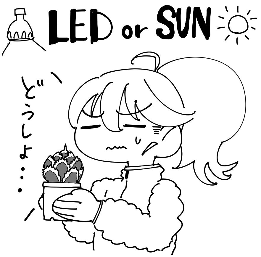最近夜は結構寒いですよね、でも日中は結構暖かい・・・。自分はアガベを冬も成長させたいのですがどのタイミングでLEDに切り替えるか毎年悩む時期ですね。
塊根は休眠させたいのでまだ外で寒さにあてます。 