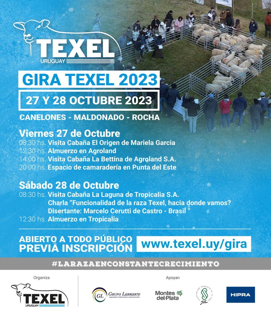 🔔 Gira de la Sociedad de Criadores de Texel  👉 Esta semana: 27 y 28 de octubre

🗂️ Inscripciones en texel.uy/gira ✅ Plazo para inscribirse: #Hoy miércoles 25 de octubre

<a href="/TexelU/">TexelUruguay</a>