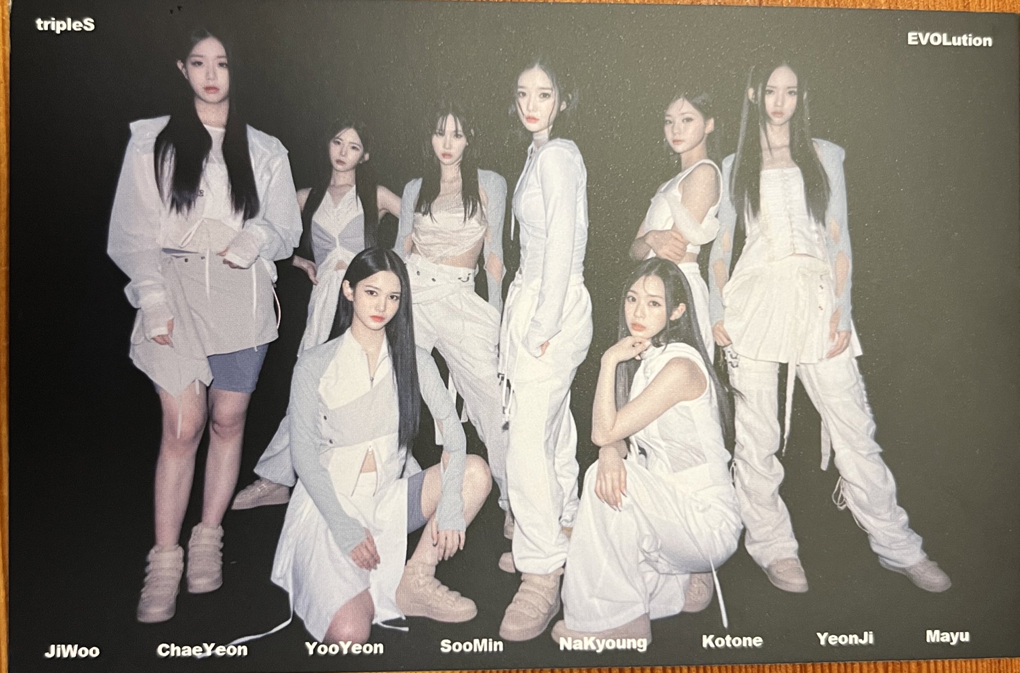 カツ丼大好きパワーバンド♫　EVO5本セット DAIWA（釣り） ダイワ D-MAX カワハギ糸付30SS パワースピード