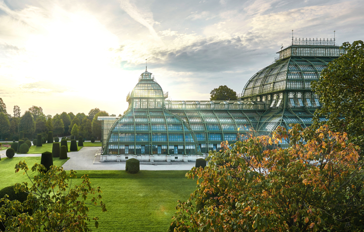 schonbrunn's tweet photo. #Votet mit uns! 🌴Morgen ist das #Palmenhaus Schönbrunn im #Finale von "9 Plätze – 9 Schätze"! 🎉 Die Schönbrunn Group leistet einen wertvollen Beitrag zu seiner Erhaltung und wir freuen uns auf eure #Unterstützung!

📅 26. Oktober, 20:15 Uhr, ORF 2

📷 © Alexander Haiden 
@ORF https://t.co/Owm2gnnAH8