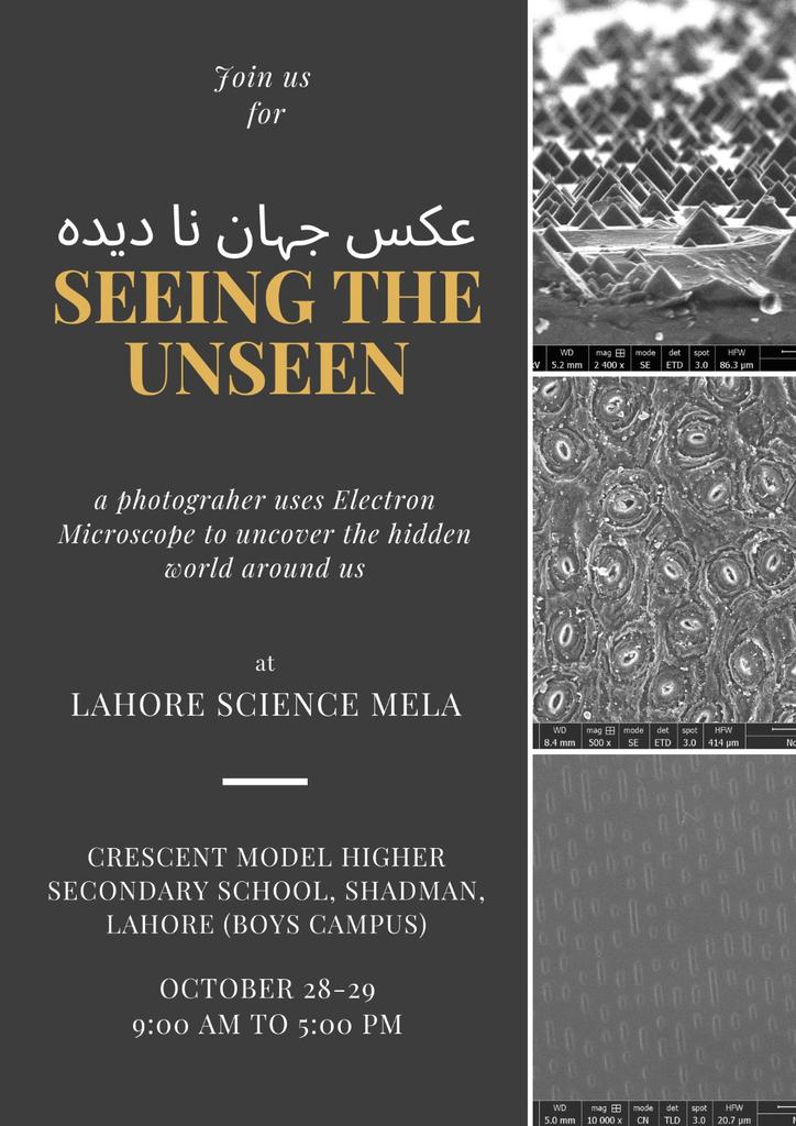 Muhammad Zaheer tweet media