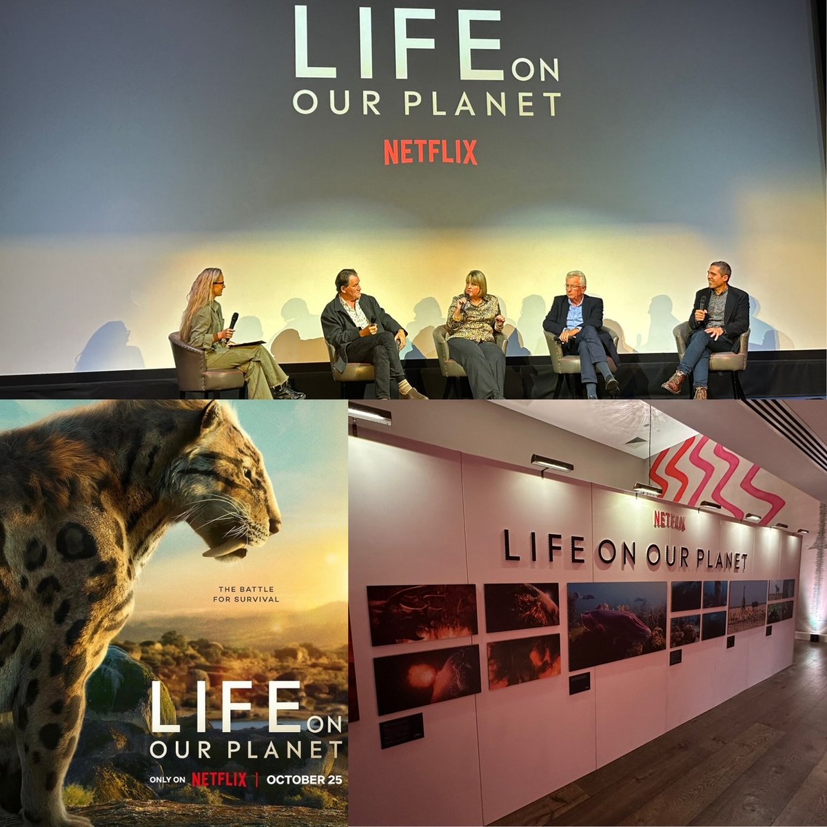 filmsat59's tweet photo. A fantastic screening evening hosted by @netflix for Life on Our Planet last night. #SilverbackFilms 
@Ham_Yard Streams today only on Netflix  #PostProduction from @filmsat59 https://t.co/qTEQOFjwOZ