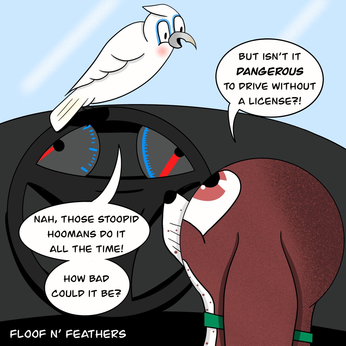 Floof n' Feathers tweet media