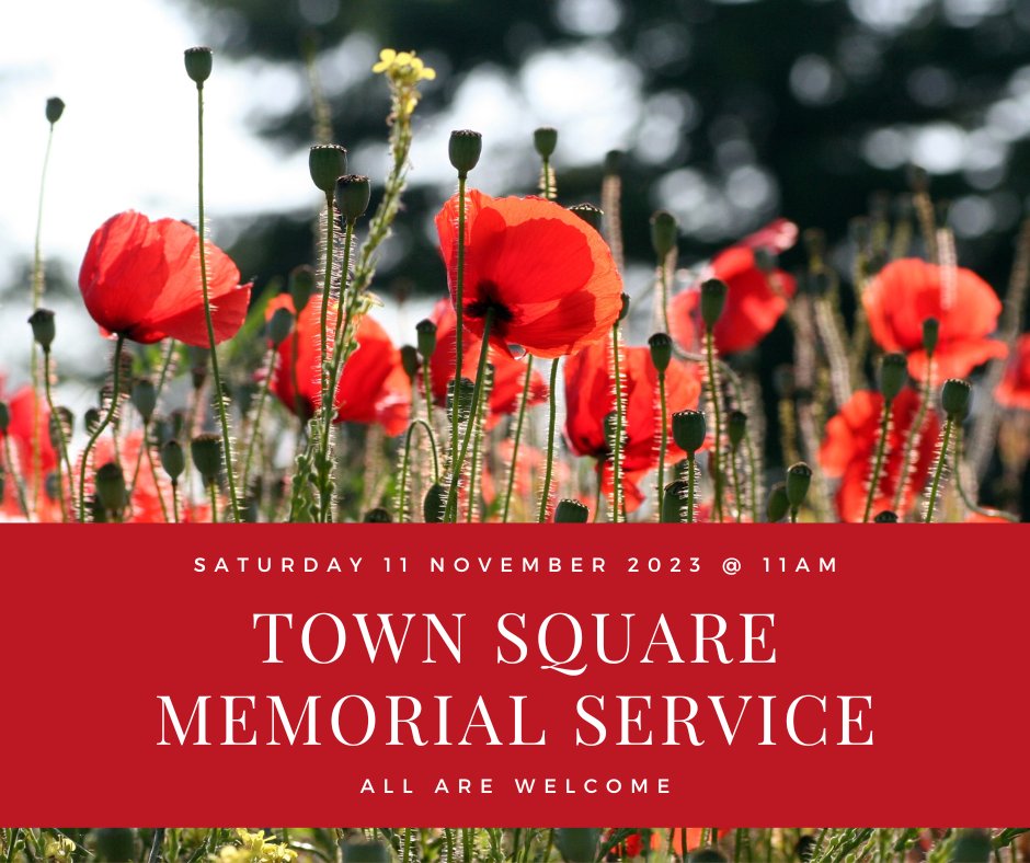 Join us on Saturday 11 November at the Town Square, outside Southborough Civic Centre for the 2 minute silence at 11am❤️
