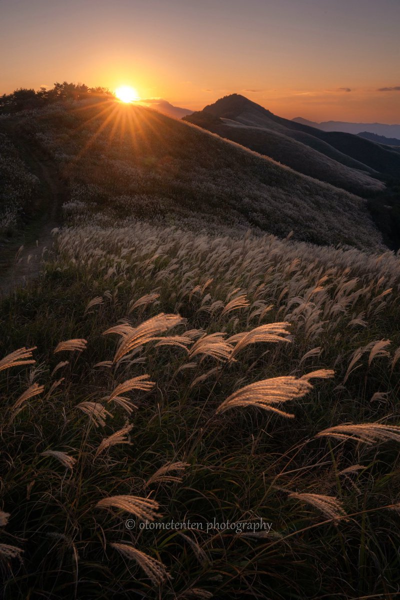 otometenten0329's tweet photo. #alpha_newgeneration
#bestdarkphoto
#iskyhub
#Japan_Daytime_View
#japan_great_view
#mf_landscape
#miyoshifinder
#m_v_shotz
#NSG_IG
#photojapan
#photo_shorttrip
#pixlib_jp
#raw_japan
#raw_tokyo
#sorakataphoto
#tokyocameraclub
#visitjapanjp
#広がり同盟
#塩塚高原
#東京カメラ部 https://t.co/pyCpW2d6WM
