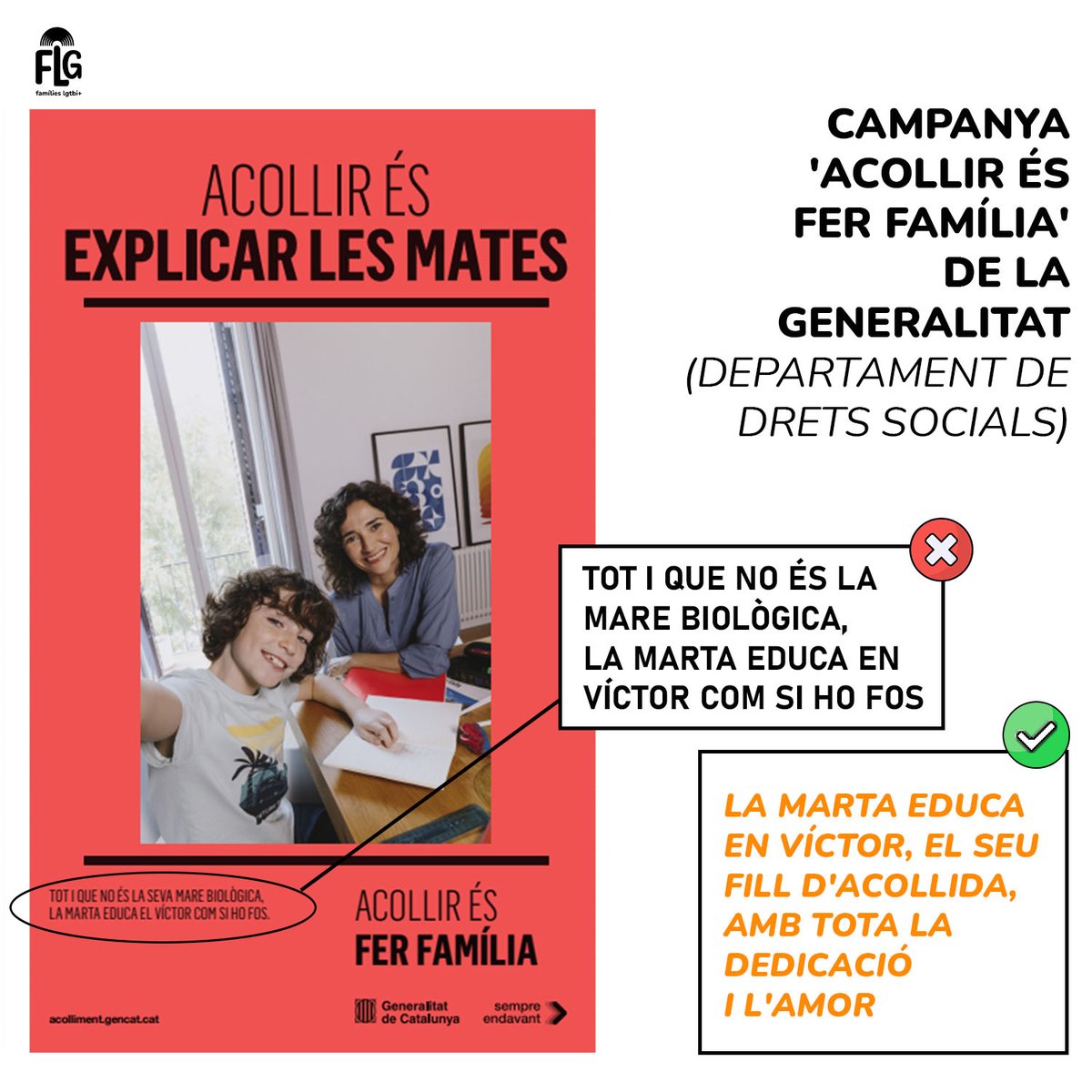FLG Famílies LGTBI tweet media