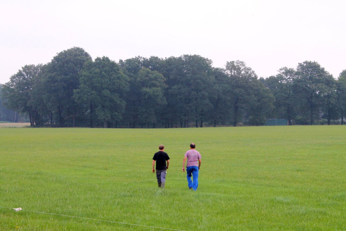 Leg nu de basis voor een goed grasseizoen in het voorjaar: 
In het najaar aandacht hebben voor het winterbestendig maken van je grasland betaalt zich dubbel en dwars terug in het voorjaar. Hier 7 tips: barenbrug.nl/veehouderij/va… 
#veehouderij #melkveehouderij