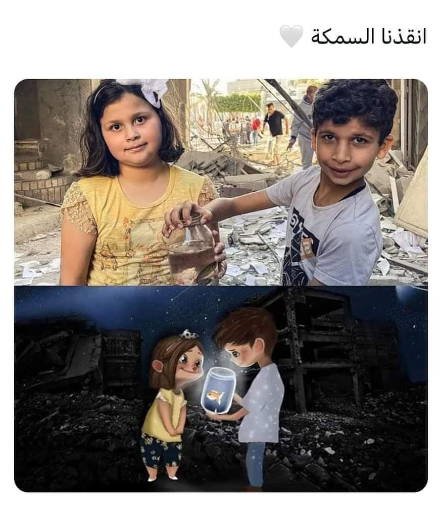 BasselAmin14's tweet photo. #Gaza https://t.co/Xp5Rhn1xEi
