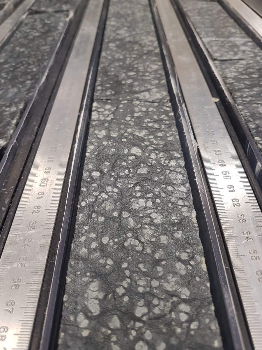 Interested in doing a PhD on the Earth's #mantle? Check out this great opportunity @CU_EARTH to work on the unique 1.2 km long core of mantle rocks that we recovered this year: findaphd.com/phds/project/n…