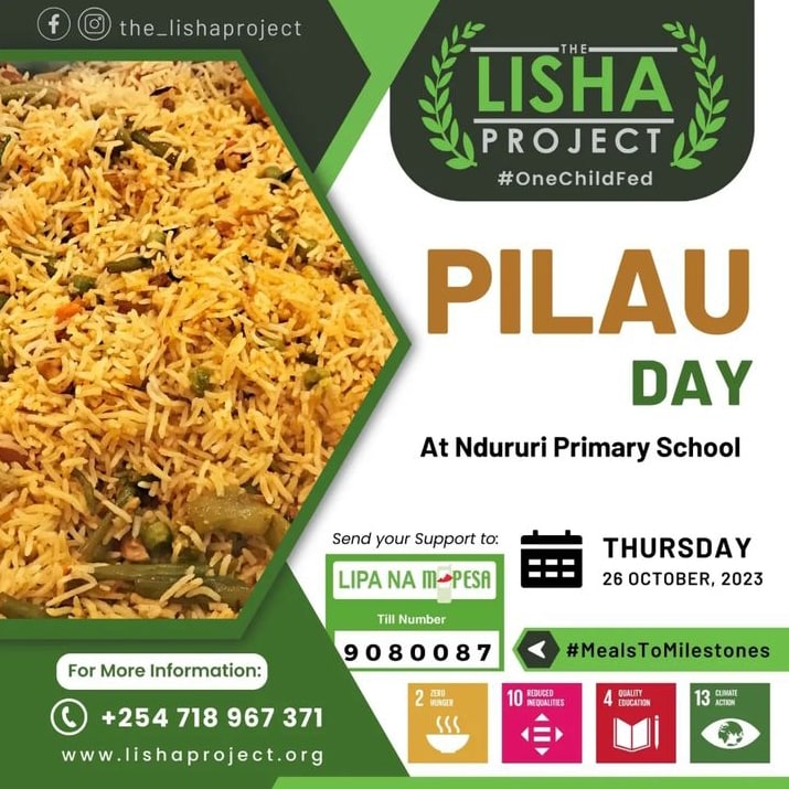 The Lisha Project tweet media