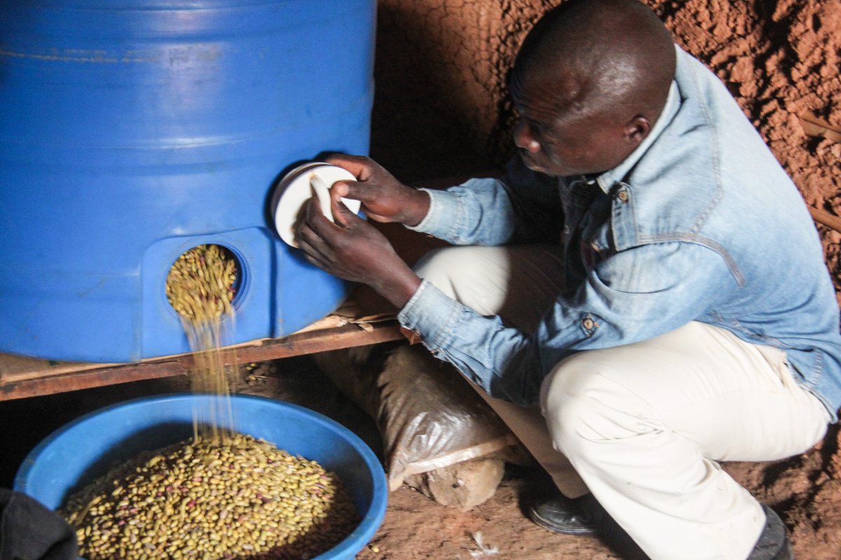 Contre la Faim et la Malnutrition (@cerfam_4_africa) on Twitter photo Every year, 30% of #GlobalFood production is lost. In Africa, 37% losses, valued at 48B USD, #post-harvest losses remain a challenge. In #cotedivoire, CERFAM & <a href="/WFP/">World Food Programme</a> in 🇨🇳 are providing the smallholder farmers with silos/hermetic bags, storage techniques, to minimise these losses. Every year, 30% of #GlobalFood production is lost. In Africa, 37% losses, valued at 48B USD, #post-harvest losses remain a challenge. In #cotedivoire, CERFAM & <a href="/WFP/">World Food Programme</a> in 🇨🇳 are providing the smallholder farmers with silos/hermetic bags, storage techniques, to minimise these losses.