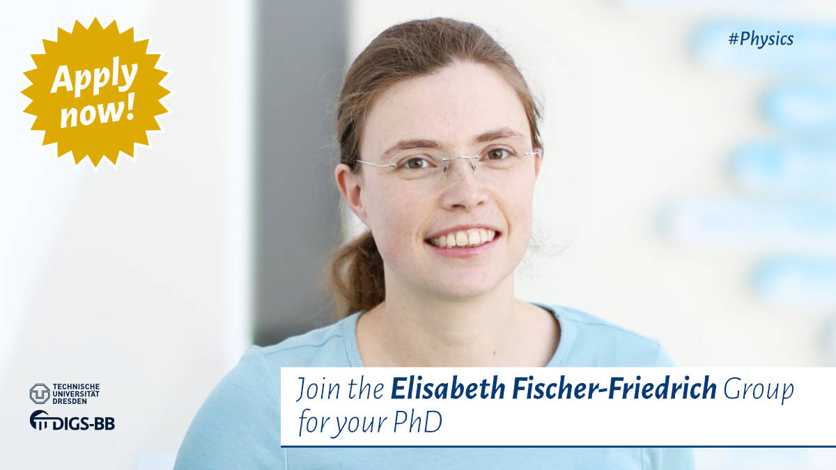 digsbb's tweet photo. #MechanicalStress #BiologicalMaterial #Actin #AFM #OpticalTweezer #Biophysics - Join @digsbb & @FischerFriedLab 4U PhD to study Pattern formation and viscoelastic dynamics of the #CellCortex. Apply:https://t.co/fz2jGqwZwv before October 30th. @PoLDresden @BIOTEC_TUD https://t.co/HxLvqLJEhQ