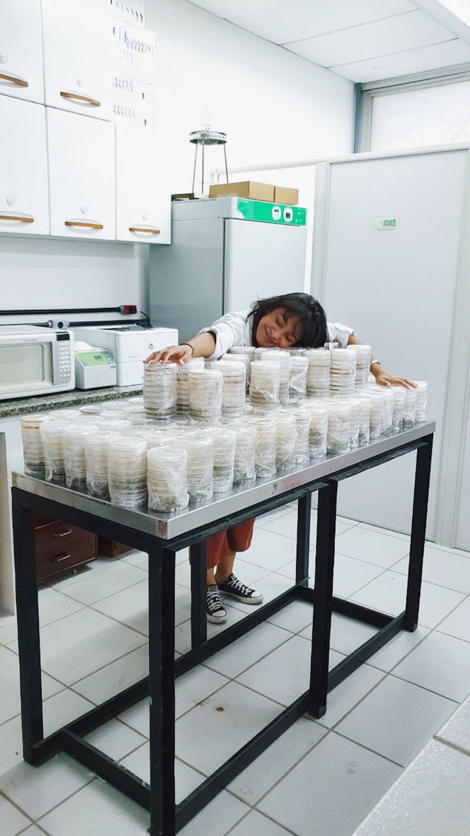Hello! My name is Carolline Fazolato (<a href="/fazolcascience/">Carolline Fazolato</a>), I'm a Brazilian scientist, doing my PhD at @UFRJ , and currently a Visiting Researcher at @uniofoxford @oxfordbiology . In honour of Black History Month, I’m excited to tell you a little about my journey