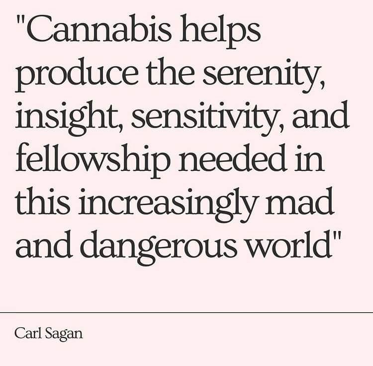 :>}_~#WakeNBake #StonerFam #StonerCircle #StonerNation #IAmCannabis #WeAreCannabis #FuckCancer #StayWoke &amp; ALL #STONERS ~HappyHumpDazed~